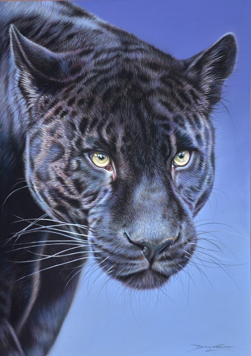 Darryn Eggleton Art from Whitewall Galleries